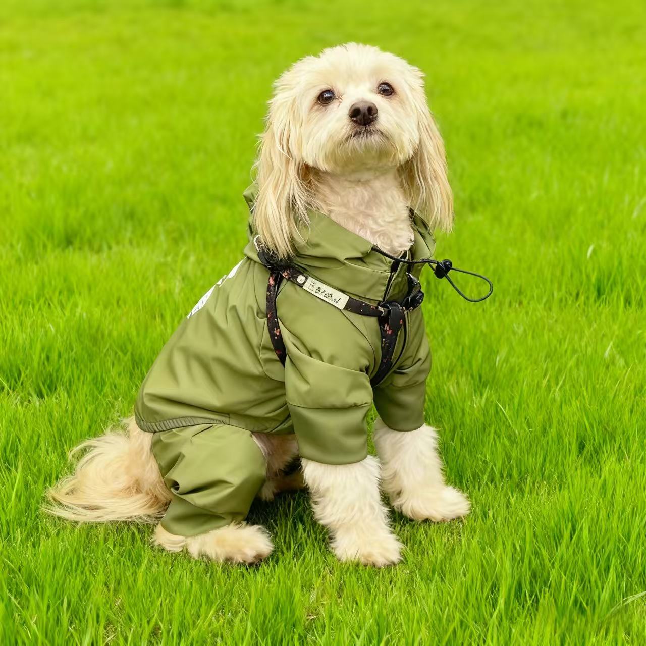 ドッグレインコート G